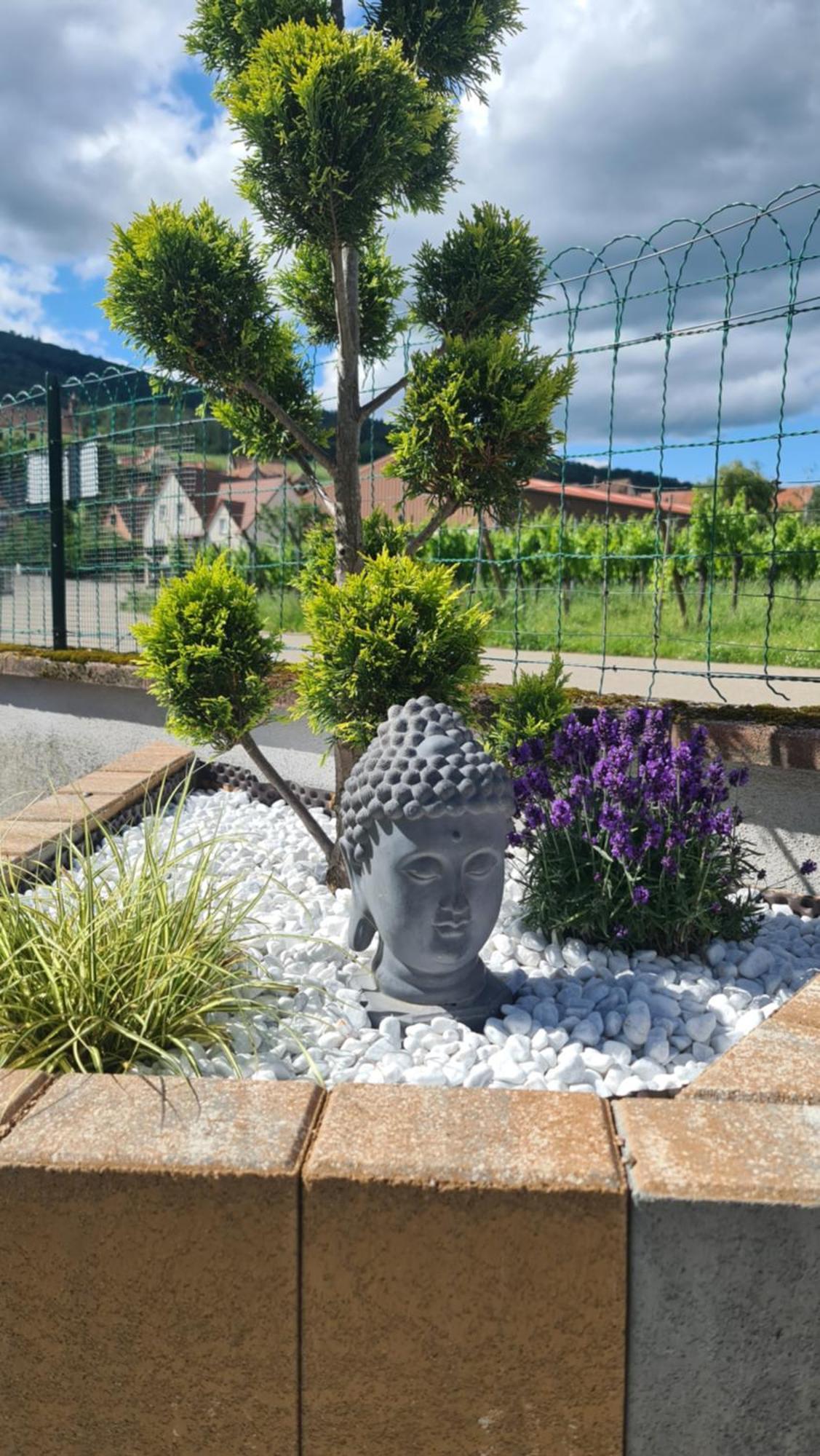 Au Jardin D'Edel Gites Centre Alsace Dieffenthal Kültér fotó